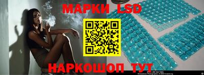 стафф Новодвинск