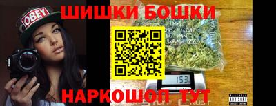 гидра Новозыбков