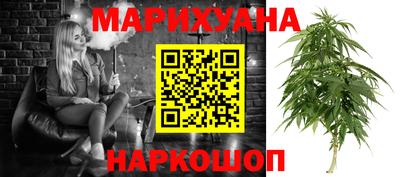 гидра Новозыбков