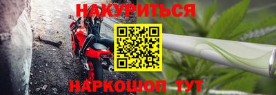 гидра Новозыбков