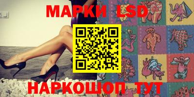 гидра Новозыбков