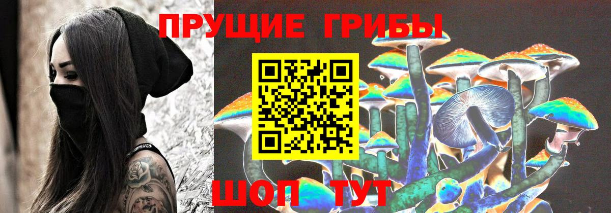Псилоцибиновые грибы GOLDEN TEACHER  Вход с VPN  Чебаркуль 