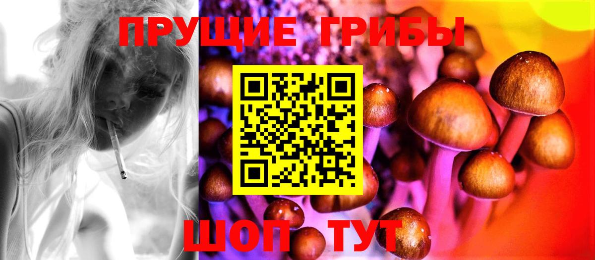 Псилоцибиновые грибы MAGIC MUSHROOMS Чебаркуль